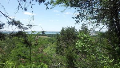 Due to extreme heat, Cedar Ridge Preserve is closing at noon