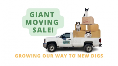 Grapevine’s Marshall Grain Co. announces moving sale, closure on June 18 and temporary location opening