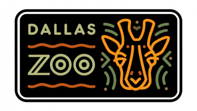 Visit Dallas Zoo this summer at just  per ticket – this is how to catch the promotion