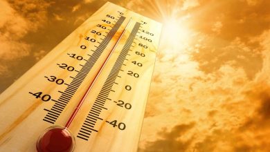 Dallas County reports alarming rise in heat-related deaths as extreme heat continues in the Dallas region