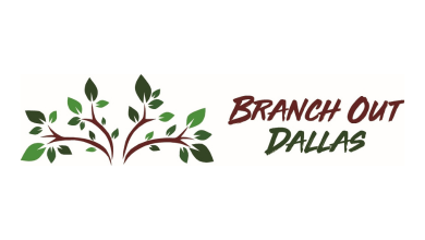Branch Out Dallas program is running for fifth year, Dallas residents can apply for free tree