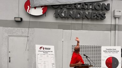 Operation Kindness Expands its paw print: New ‘Lifesaving Partnerships Hub’ coming to Dallas