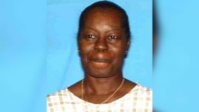 Public assistance sought in search for missing Dallas woman